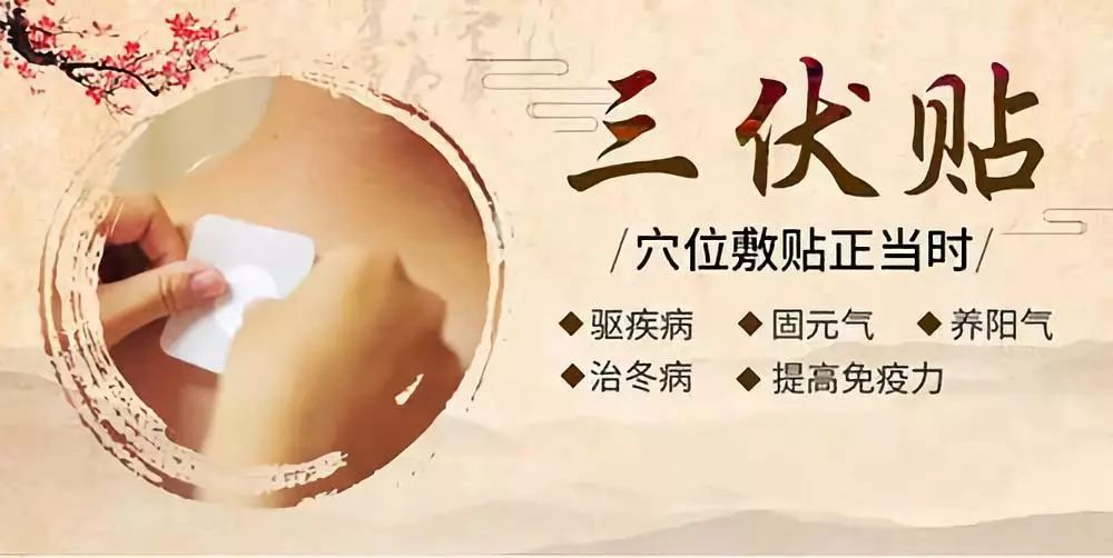 關(guān)于三伏貼，你了解多少呢？
